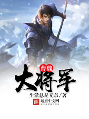 曹魏大将军