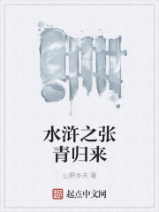 水浒之张青归来