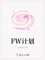 FW计划