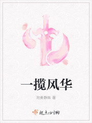 一揽风华