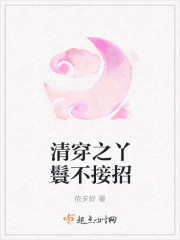 清穿之丫鬟不接招