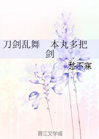 刀剑乱舞  本丸多把剑