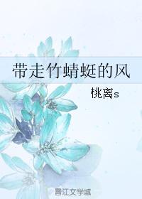 带走竹蜻蜓的风