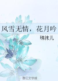 风雪无情，花月吟