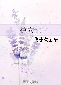 椋安记