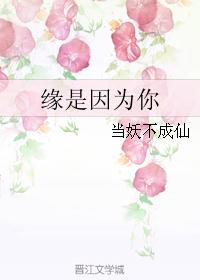 缘是因为你