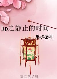 hp之静止的时间