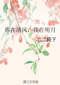 你在清风，我在明月
