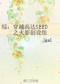 综：穿越高达SEED之火影创设组