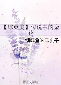 【综英美】传说中的金花