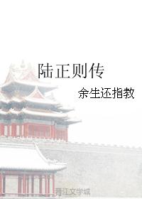 陆正则传