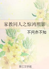 家教同人之惊鸿照影