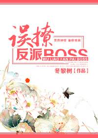 误撩反派Boss