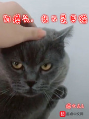 别摸头，我不是只猫