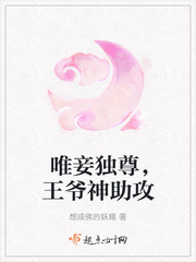 唯妾独尊，王爷神助攻