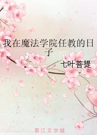 我在魔法学院任教的日子