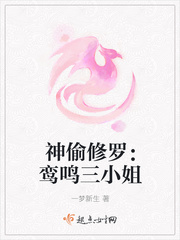 神偷修罗：鸾鸣三小姐