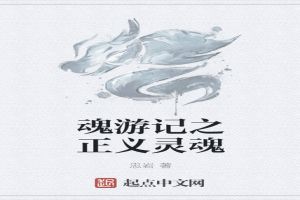 魂游记之正义灵魂