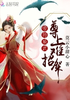 帝师威武，尊上难招架