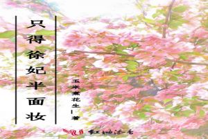 只得徐妃半面妆