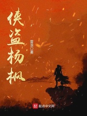 侠盗杨枫