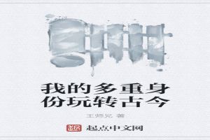 我的多重身份玩转古今