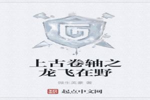 上古卷轴之龙飞在野