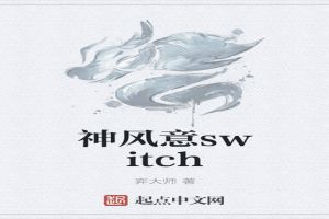 神风意switch