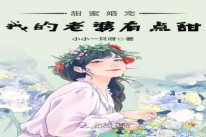 甜蜜婚宠：我的老婆有点甜