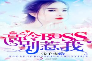 高冷BOSS，别惹我