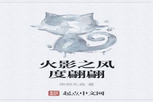 火影之风度翩翩