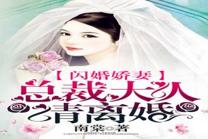 闪婚娇妻：总裁大人请离婚