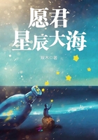 愿君星辰大海