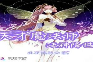 天才魔法师：法神降世