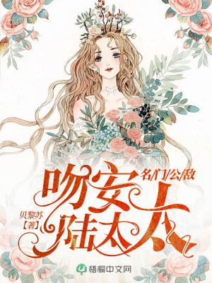 名门公敌：吻安，陆太太