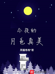 今夜的月色真美