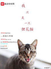 我只是一只狸花猫