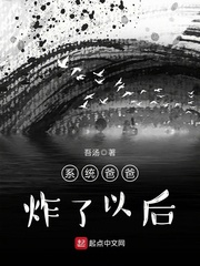 系统爸爸炸了以后