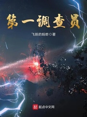 第一调查员