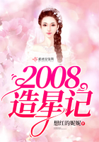 2008造星记