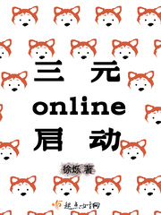 三元online启动