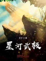 星河武极