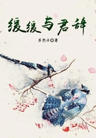 缓缓与君辞