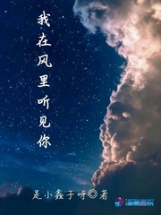我在风里听见你