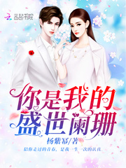 你是我的盛世阑珊