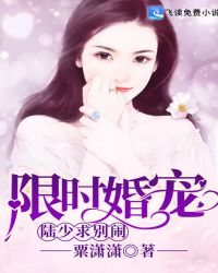 限时婚宠：陆少，求别闹！