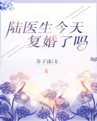 陆医生今天复婚了吗