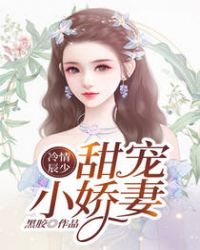 冷情辰少：甜宠小娇妻