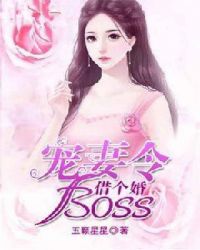 宠妻令：boss，借个婚！