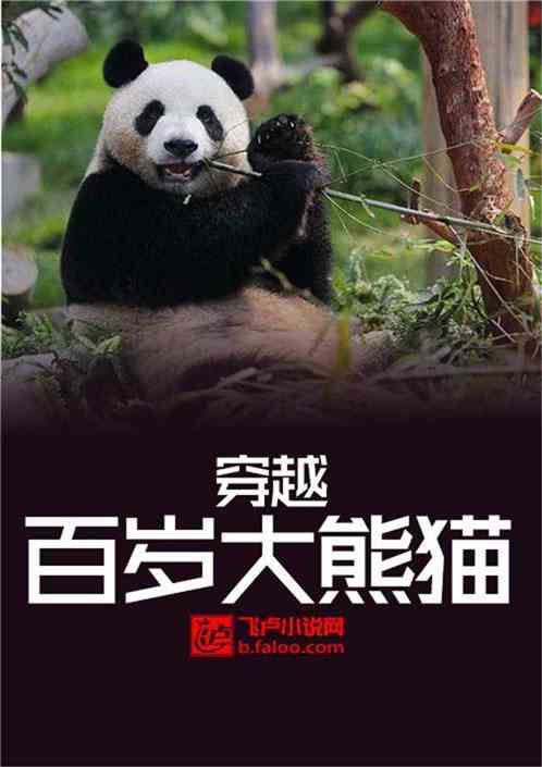 穿越百岁大熊猫